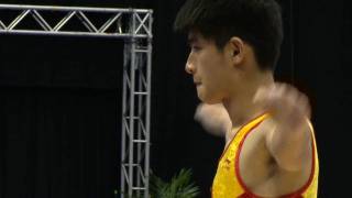 WC BIRMINGHAM 2011  YANG Song CHN [upl. by Erminna696]