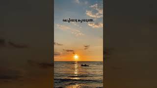 Kochiyil oru kappal aduthe song whatapp status whatsappstatus shorts malayalamsongs shortvideo [upl. by Beauregard]