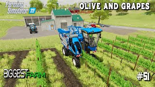 Harvest GRAPES and OLIVE unload and DELIVER to GRAPE PROCESSING PLANT  51  Farming Simulator 22 [upl. by Nihhi786]