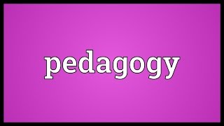 Pedagogy Meaning [upl. by Nerha]