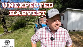 The LAST Thing We Expected To Harvest This Year [upl. by Kaitlyn]