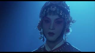 “Farewell My Concubine” Cinematography Analysis [upl. by Pancho]