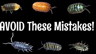 10 Isopod MISTAKES to Avoid [upl. by Neerahs]