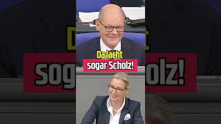 Alice Weidel bringt sogar Scholz zum Lachen aliceweidel [upl. by Thinia557]