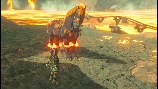 BotW Reviving a Burnt Horse [upl. by Natka236]