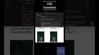 CSS transition property coding webdesign webdevelopment programming transition video coder [upl. by Eirrem]