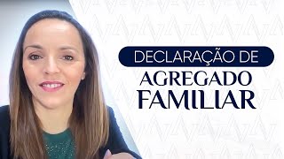 Declaração Agregado Familiar Editado [upl. by Hanshaw513]