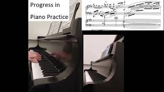 Rachmaninoff Piano Concerto 2 Movement 2 Vid 1 [upl. by Nina]