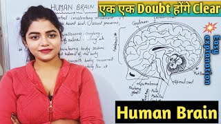 Brain Parts amp Function  Forebrain Midbrain Hindbrain  Control amp Coordination  Full Explanation [upl. by Hniv]