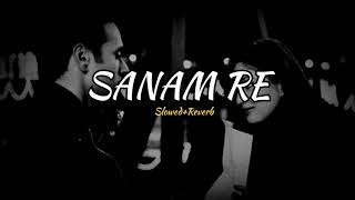 SANAM RE  Lofi SlowedReverb  Arijit Singh 🎶❤️ [upl. by Acie]