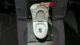 washdown toilet flushing test with 100 pp balls toilet [upl. by Biancha245]