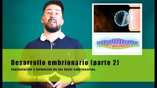 Desarrollo embrionario parte 2  De la implantación a la formación de las hojas embrionarias [upl. by Dleifxam]