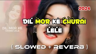 DIL MOR KE CHURAI LELE  NEW NAGPURI SONG 2024  TRENDING  JEET LOFI [upl. by Aprile]