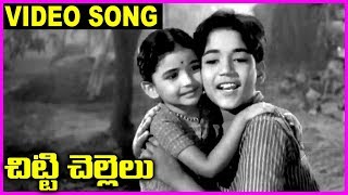 Chitti Chellelu  Telugu Super Hit Video Song  NTR Vanisri Rajasri Haranath [upl. by Tempest]