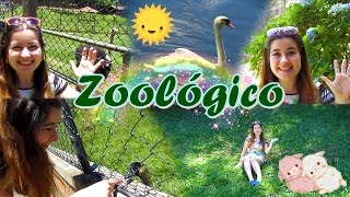 Cathe  Zoológico de Curitiba  Paraná [upl. by Lakym]