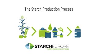 The Starch Production Process [upl. by Kleon]