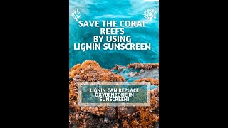 Lignin extraction from sugarcane bagasse for natural sunscreen appplication [upl. by Ikaz]