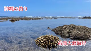 沖縄の釣り（糸満市大渡海岸） [upl. by Asseralc]