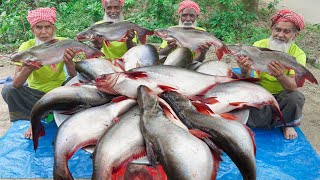 30 KG Big Pangas Fish Cutting amp Cooking by Grandpa  Panagasius Catfish Curry for Special People [upl. by Mariele]