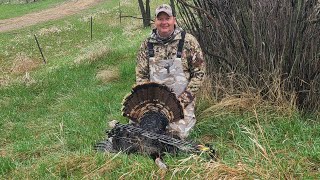 Spring TURKEY HUNTING Turkey in Bow Range outdoors turkeyhunting hunting hunter springturkey [upl. by Haikezeh791]