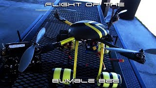 Flight of the Bumble Bee  XAircraft X650 Quadcopter GoPro 3 [upl. by Allekim560]