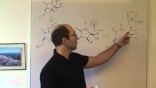 Coreys Total Synthesis of Salinosporamide A [upl. by Robet393]