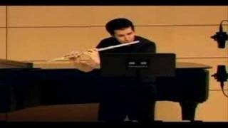 Hindemith Flute Sonata Movement One [upl. by Kolodgie649]