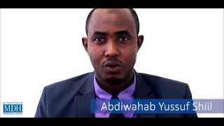 Hepatitis B  Somali Cagaarshowga B [upl. by Eisseb]