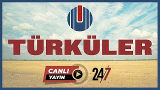 Ulusdan Türküler  Canlı Radyo  724 Radyo Dinle 2024 [upl. by Adnarrim12]