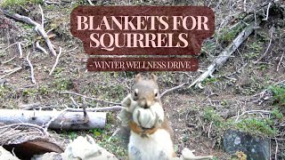 Blankets for Squirrels  Winter Wellness Drive [upl. by Annehsat]