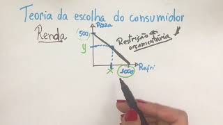 Teoria da escolha do consumidor  restrição orçamentária e curva de indiferença [upl. by Gnoht]