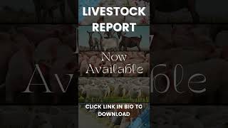 Livestock Report [upl. by Cassiani]