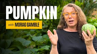 Morag Gambles amazing tips for harvesting more from your pumpkin patch [upl. by Dearr824]