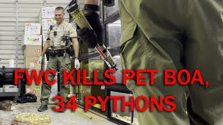 FWC Officers Euthanize Pet Boa and 34 other Snakes [upl. by Berni604]