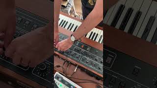 1981 Prophet5 Sequenced by Arturia Keystep Pro [upl. by Letizia626]