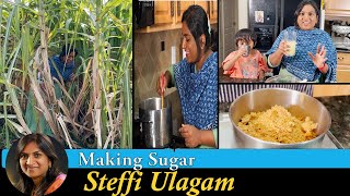 Making Sugar from Sugarcane Vlog in Tamil  Will be back in April 2022 [upl. by Janette]