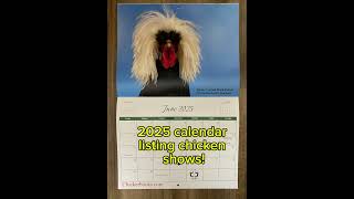 Chicken calendar 2025 cluckerbooks chicken bantamchicken calendar chickenshow chickenman [upl. by Richarda]