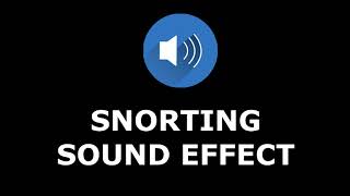 Snorting Sound Effect [upl. by Leckie557]