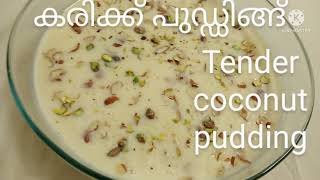 Tender coconut pudding  കരിക്ക് പുഡ്ഡിംഗ്  karikk pudding recipes  pudding recipe [upl. by Ecnerwal936]