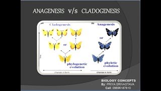 Anagenesis vs Cladogenesisquot BIOLOGY CONCEPTS quot where biology meets technology [upl. by Westlund]