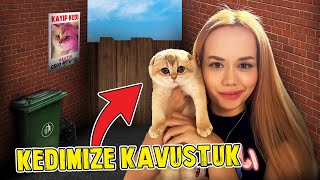 KEDİMİZLE KAVUŞTUK   Öykü Çok Mutlu Oldu  OykuKarta [upl. by Nanreik]