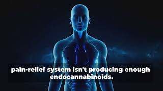 Welkom bij Calmactiva Het Endocannabinoïde Systeem Uitgelegd 2024 11 28T15 12 58 [upl. by Rachele]