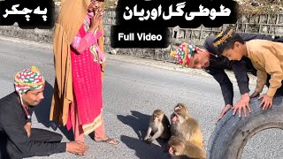 Tuti Gull Ao Reyan Full Towar Pashto New Funny Video 2024 by Bebe Vines Plus [upl. by Aratihc]