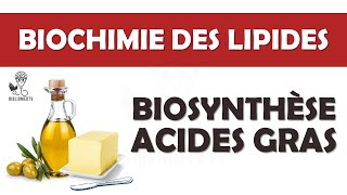 Biochimie  les acides aminés ملخص شامل 😍 [upl. by Azil670]