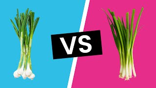 Scallions vs Green Onions  Whats the Difference [upl. by Demakis]