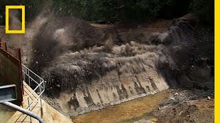 Marmot Dam  National Geographic [upl. by Schoenburg]