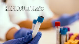 Como coletar hemoculturas  Dr Renato Cassol Infectologista [upl. by Schoening60]