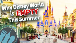 Why Disney World is EMPTY This Summer [upl. by Otcefrep]