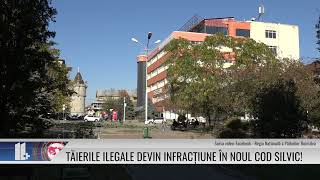 Tăierile ilegale devin infracțiune în noul Cod Silvic [upl. by Alleira]