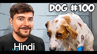 I Saved 100 Dogs 🐶 From Dying In Hindi Dubbed MrBeast [upl. by Eirrotal]